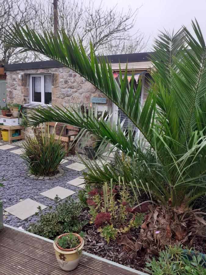 Little Pedn Penzance Exterior foto